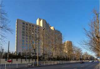 南平玻璃车膜品牌